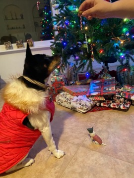 A dog figurine dressed in a holiday sweater placed under a decorated Christmas tree.